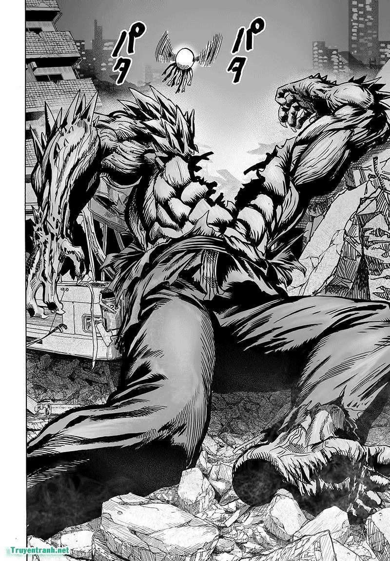 https://cdn.truyenqqvn.vn/267/267146/1501934263-onepunchman-truyentranhnet-chap-120-047-p2j.jpg